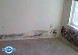 Mold Removal Drywall Images