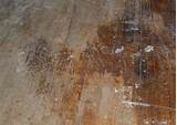 Refinishing Pine Wood Floors Photos