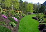 Landscaping Yard With Hill Images