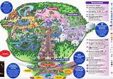 Walt Disney World Park Maps Photos