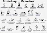 Tire Exercise Routines Photos