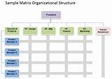 Images of Company Department Structure Chart