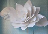 Photos of Paper For Large Paper Flowers