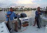 Pictures of Tuna Fishing Charters In Louisiana