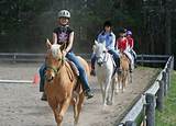 Riding Horse Classes Pictures