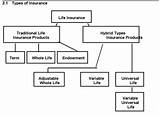 Images of 2 Types Of Life Insurance