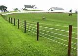 Electric Wire Fence For Horses