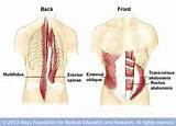 Erector Spinae Workout Exercises Pictures