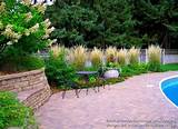 Pictures of Grasses For Pool Landscaping