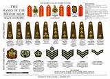 Images of Ranks In The Army Officer