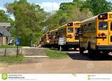 School Bus Delivery Pictures