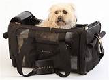 Pictures of Pet Cabin Carrier