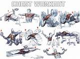 Pictures of Muscle Workout Chest