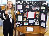 High School Level Science Fair Projects Physics Images