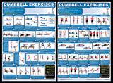 Workout Exercises Dumbbells Pictures