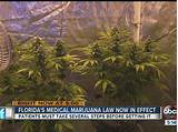 Medical Marijuana Prices In Florida Photos