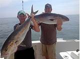 Deep Sea Fishing Charters Mobile Al