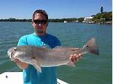 Pictures of Fishing Sarasota