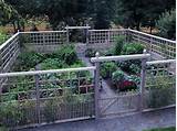 Photos of Fencing A Vegetable Garden