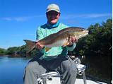 Photos of Florida Everglades Fishing Charters