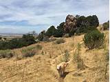Photos of Hikes For Dogs