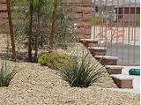 Las Vegas Landscaping Packages Pictures