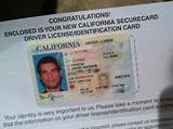 Lost Drivers License What To Do Images