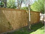 Photos of Cheap Privacy Fencing Options