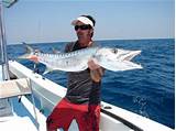 Pictures of Naples Sport Fishing