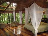 The Treehouse Boutique Hotel