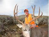Wyoming Mule Deer Hunting Outfitters Images