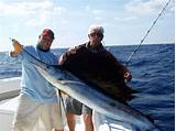 Offshore Fishing Videos Photos