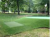 Images of Backyard Putting And Chipping Green
