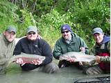 Kenai Fishing Guides Images