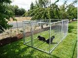 Photos of Pet Fencing Lowes