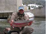 Williams Fork River Fishing Report Photos