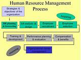 Pictures of Recruitment In Human Resource Management