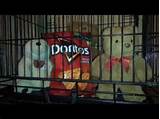 Dorito Commercial With Bear Images