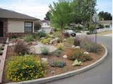 Pictures of Drought Resistant Yard Design