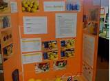 Fruit Electricity Science Project Pictures