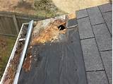 Replace Missing Roof Shingles