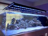 Fish Tank Led Lighting Images