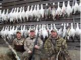 South Dakota Snow Goose Hunting Outfitters Pictures