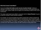 Carbon Credit Market Price