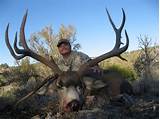 Images of Deer Outfitters