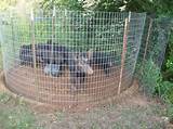 Photos of Electric Fence For Feral Hogs