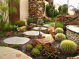 Pictures of Cactus Landscaping Design