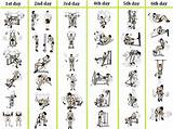 Bodybuilding Training Program For Beginners