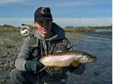 Trout Fishing In New Zealand Pictures