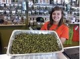 Pictures of Colorado Marijuana Candy